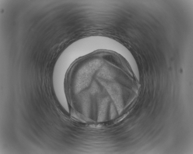 X0000087640570200705241243