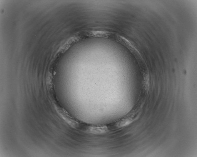 X0000087640571200705241243