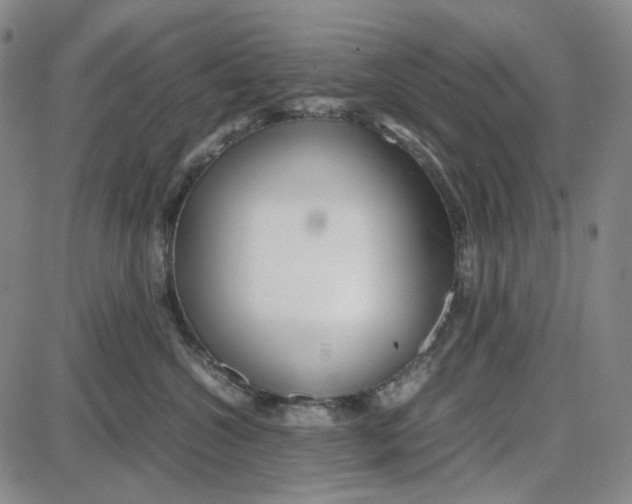 X0000087640572200705241243