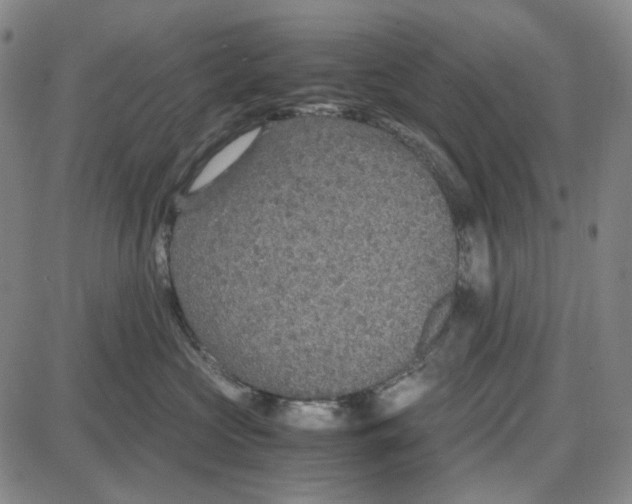 X0000087640573200705241243