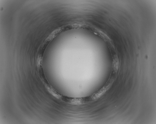 X0000087640574200705241243