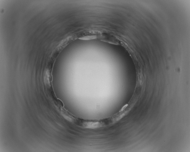 X0000087640575200705241243