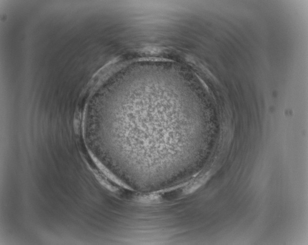 X0000087640576200705241243