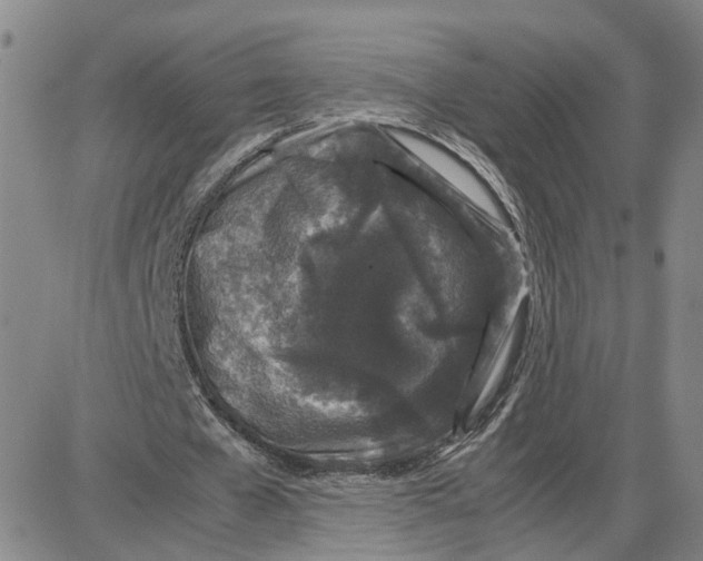 X0000087640577200705241242