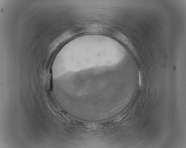 X0000087640579200705241242