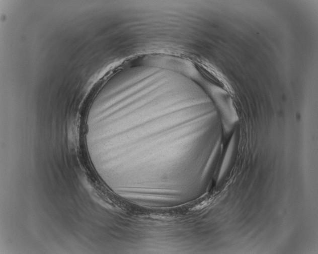 X0000087640580200705241242