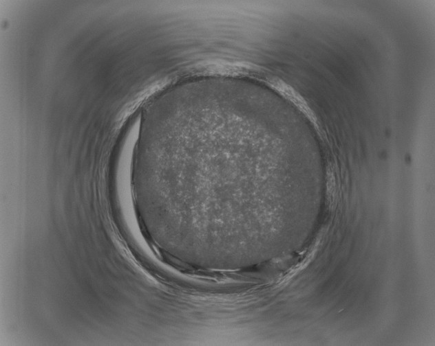 X0000087640581200705241242