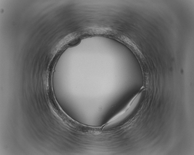 X0000087640582200705241242