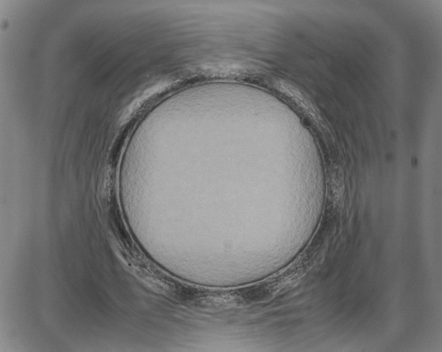 X0000087640583200705241242