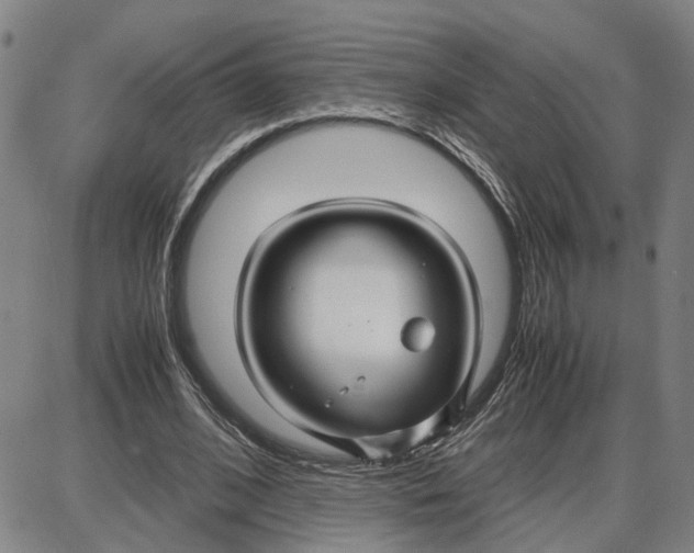 X0000087640584200705241242