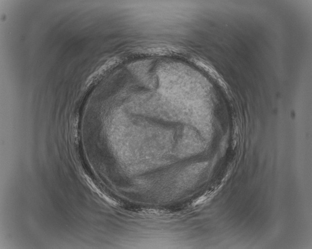 X0000087640585200705241242