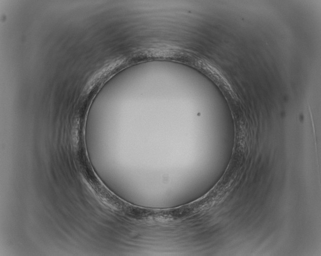 X0000087640586200705241242