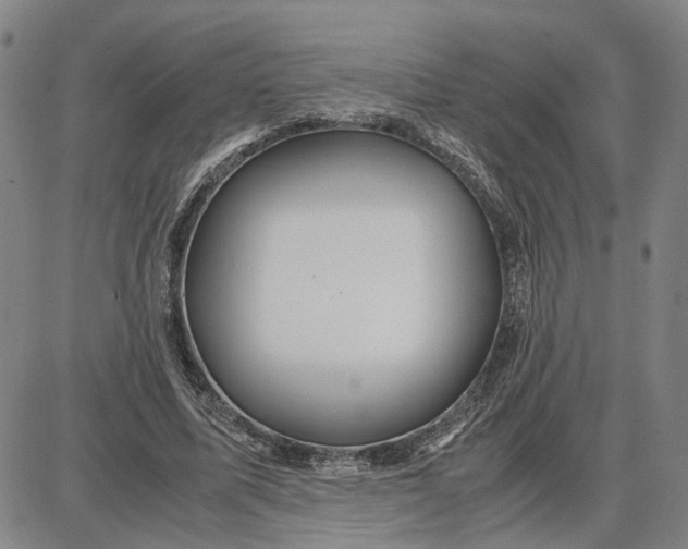 X0000087640587200705241242