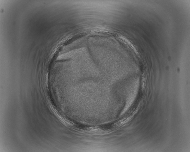 X0000087640589200705241242