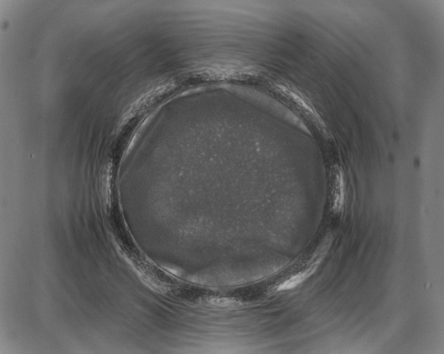 X0000087640590200705241242