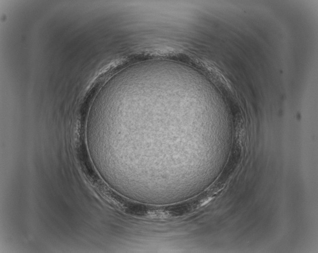 X0000087640591200705241242