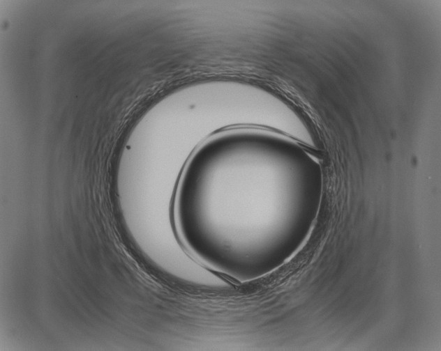 X0000087640593200705241242