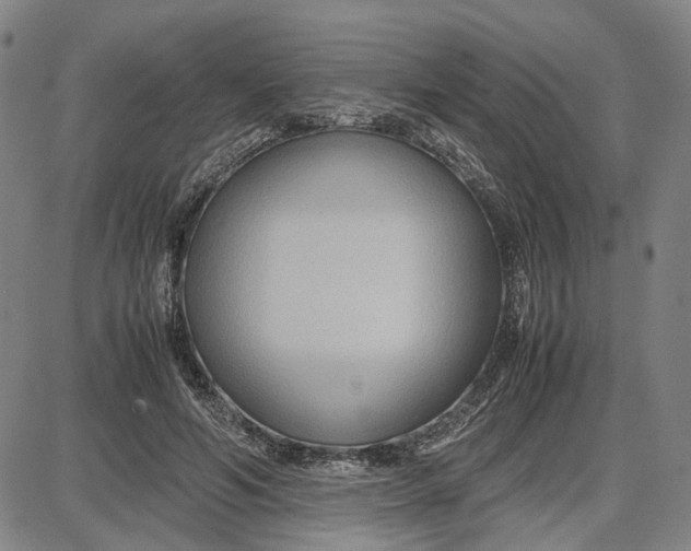 X0000087640594200705241242