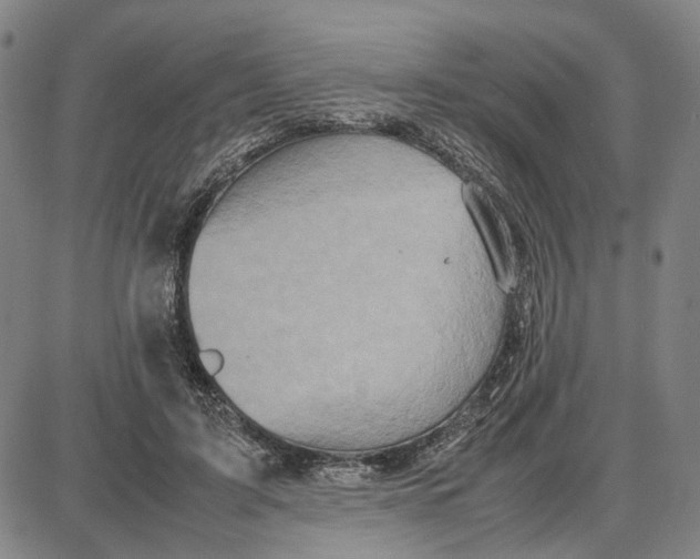 X0000087640595200705241242