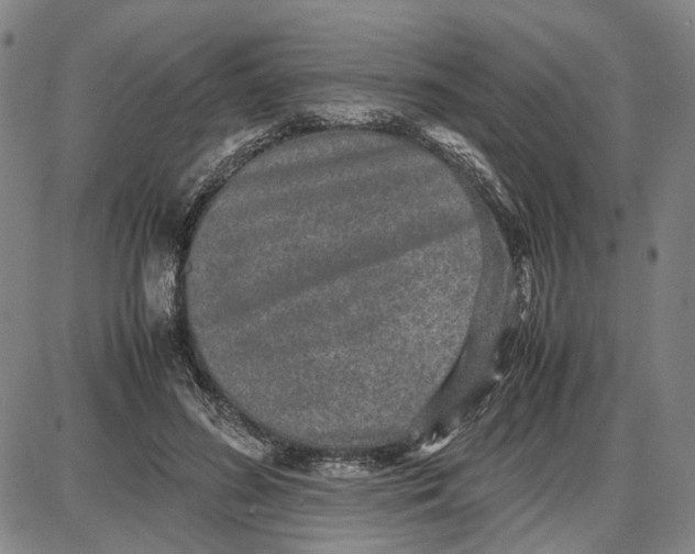 X0000087640596200705241242