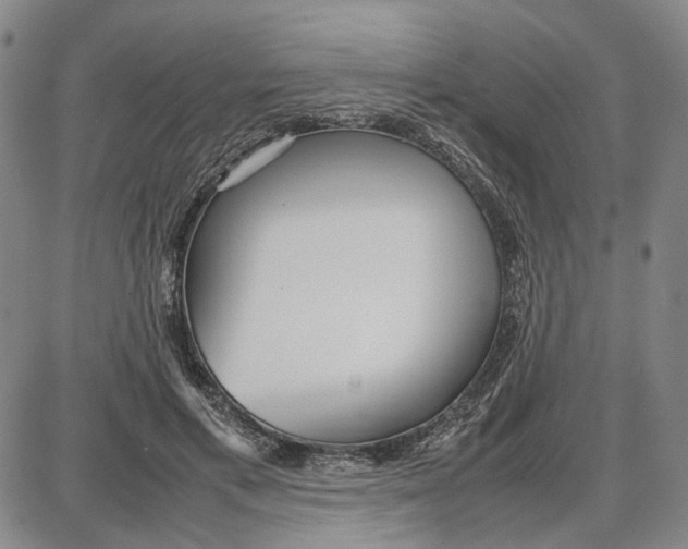 X0000087640597200705241242