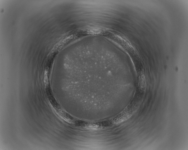 X0000087640598200705241242