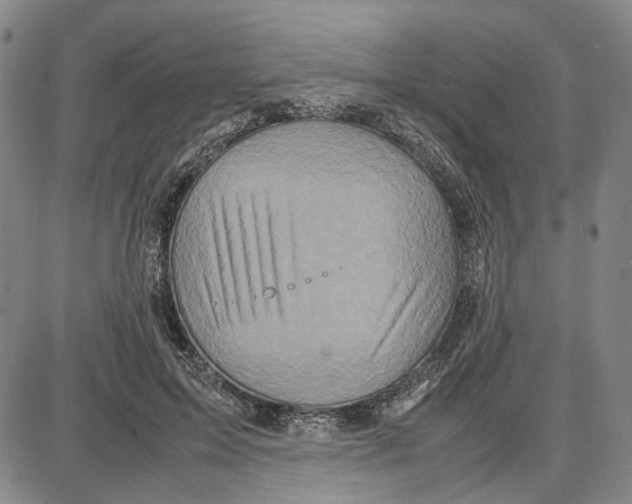 X0000087640599200705241242