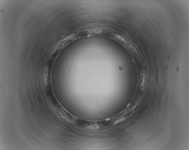 X0000087640600200705241241