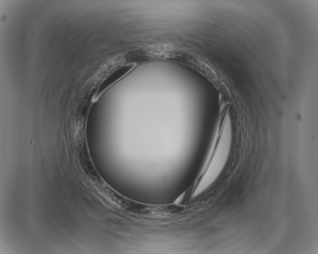 X0000087640601200705241241