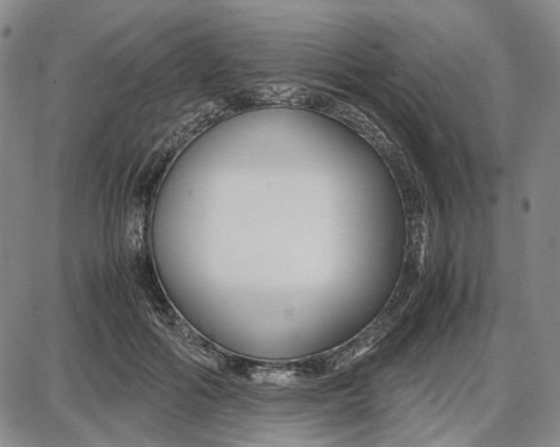 X0000087640602200705241241