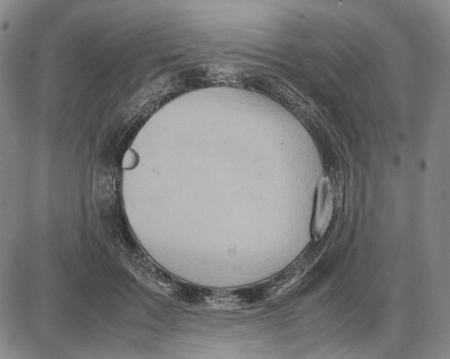 X0000087640603200705241241