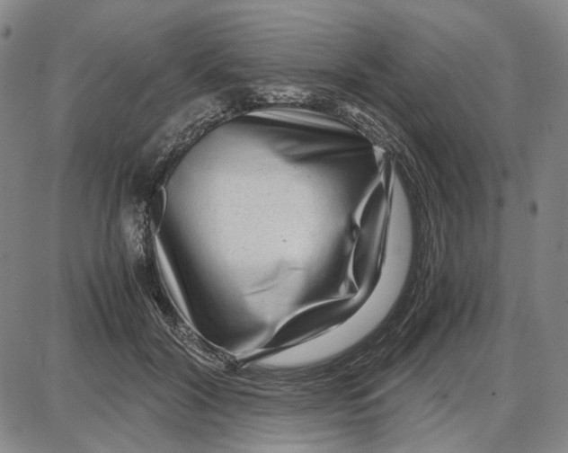 X0000087640604200705241241