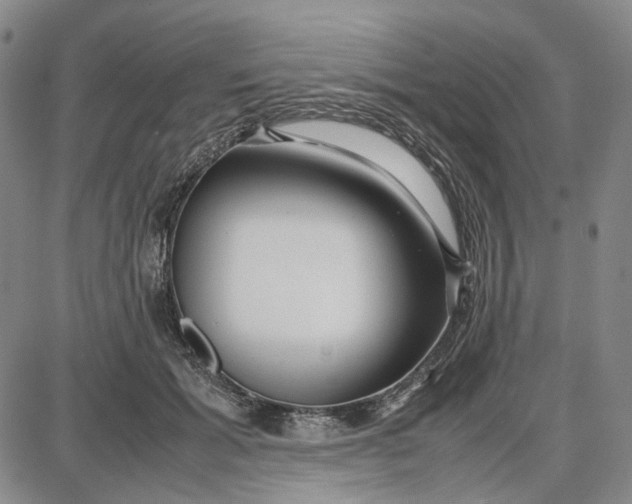 X0000087640605200705241241