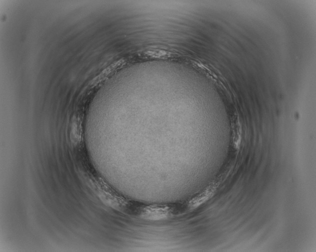 X0000087640606200705241241