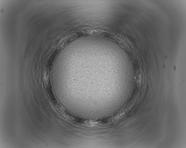 X0000087640607200705241241