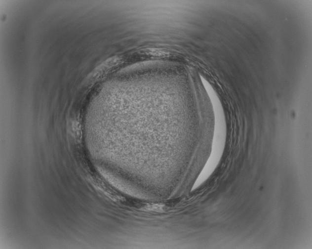 X0000087640609200705241241