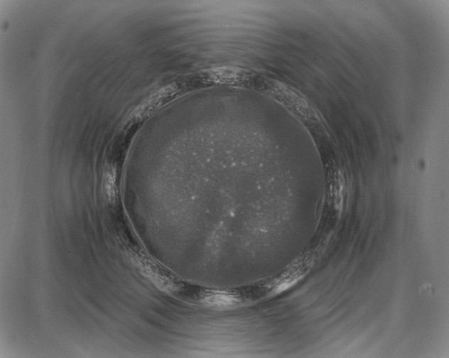 X0000087640610200705241241