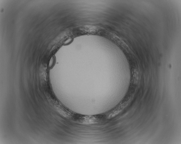 X0000087640612200705241241