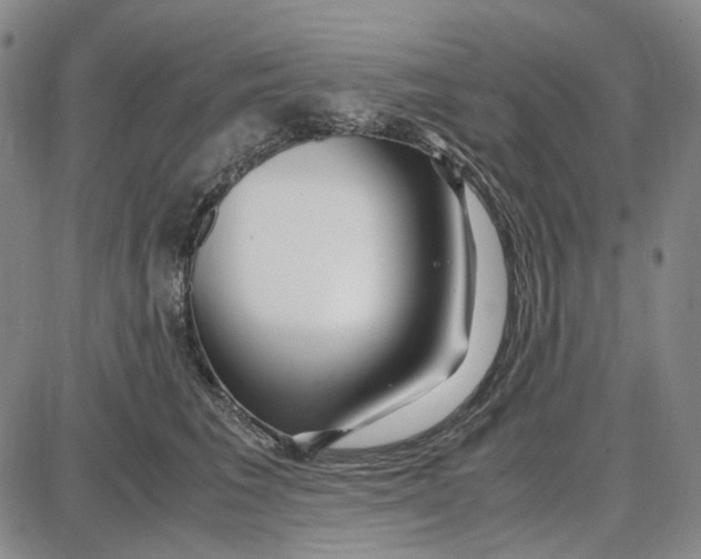 X0000087640613200705241241