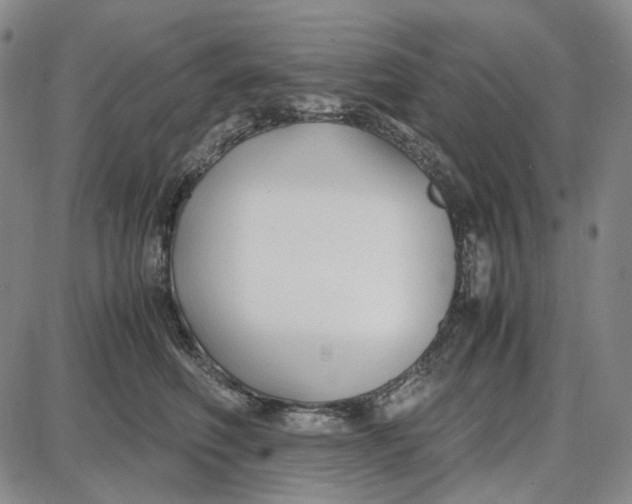 X0000087640614200705241241