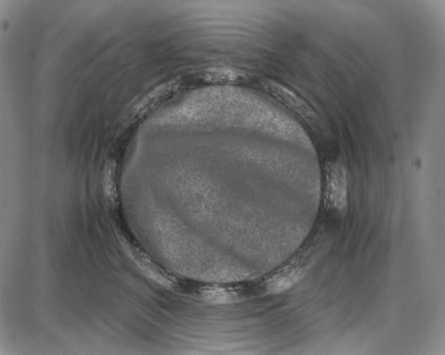 X0000087640616200705241241