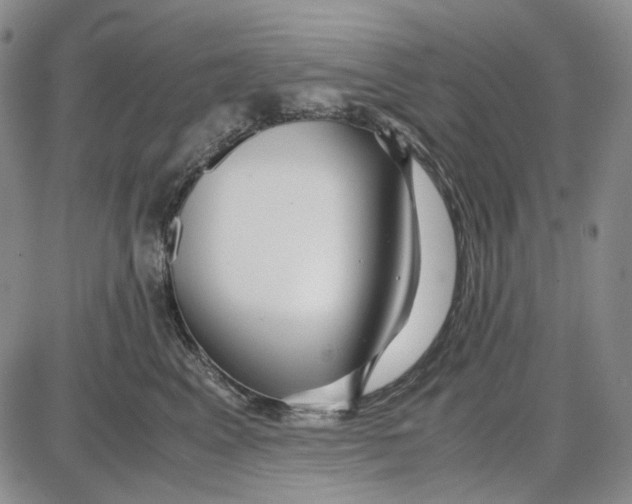 X0000087640617200705241241