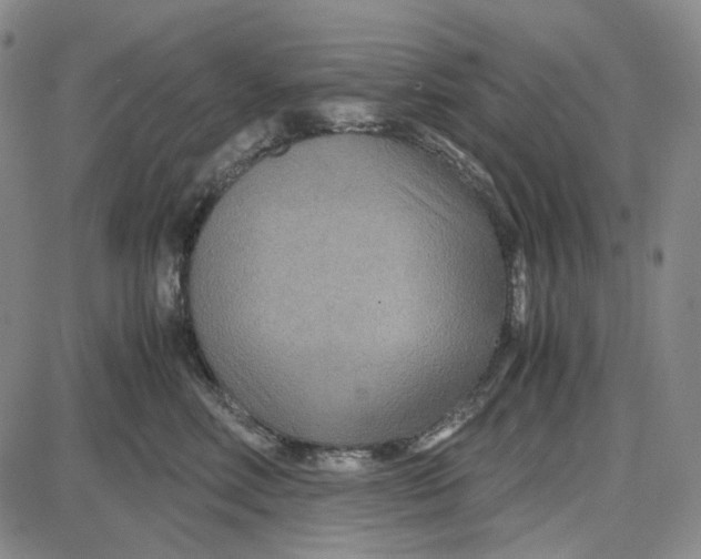 X0000087640618200705241241