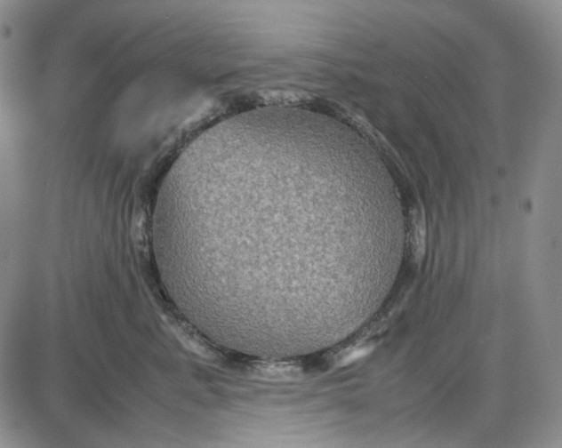 X0000087640619200705241241