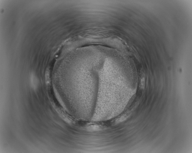 X0000087640620200705241241