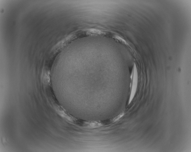 X0000087640621200705241241