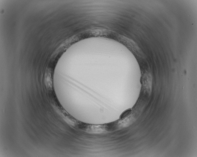 X0000087640622200705241241