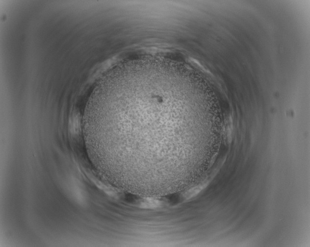 X0000087640623200705241241