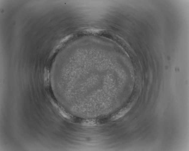 X0000087640624200705241241