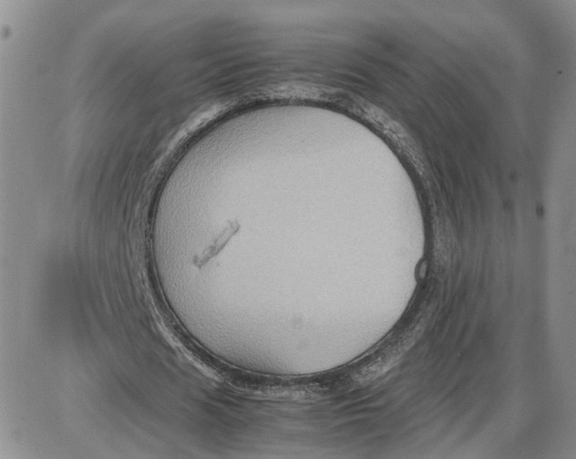 X0000087640625200705241240